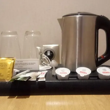 尼斯灿烂酒店 酒店